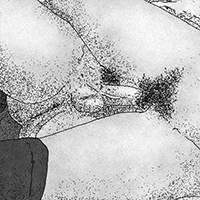 03